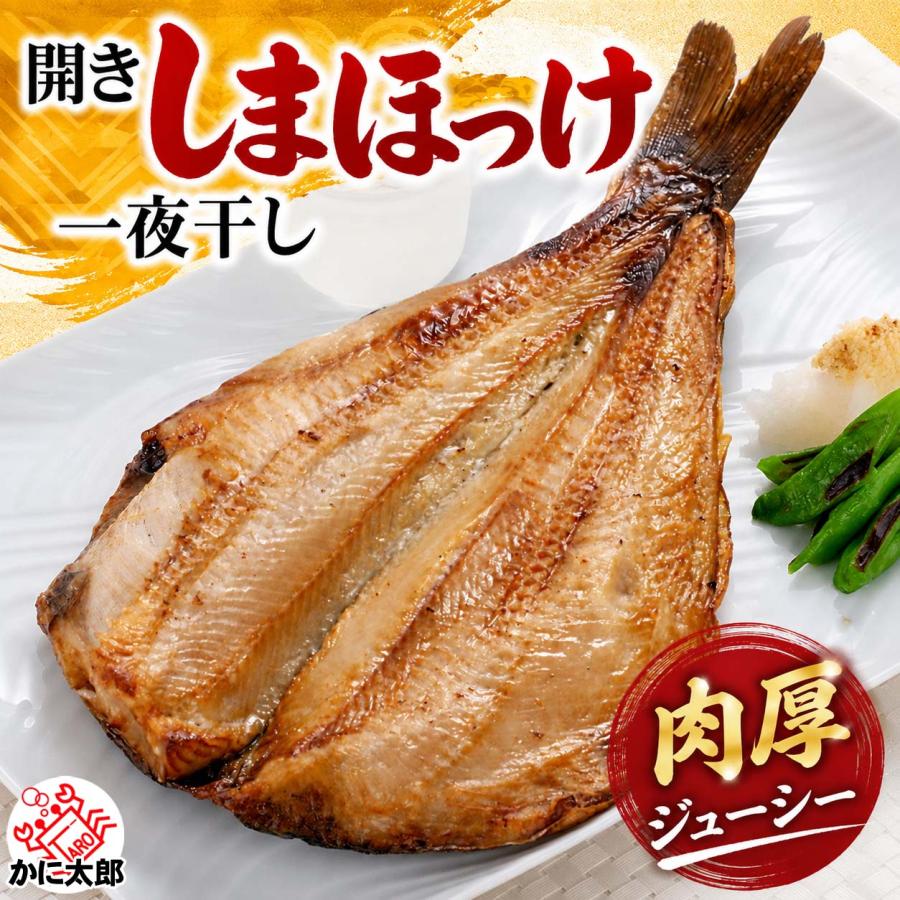 シマホッケ トロホッケ 一夜干し 開き 1枚 肉厚 縞ほっけ しまほっけ