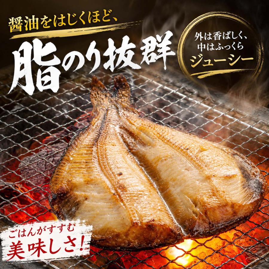 シマホッケ トロホッケ 一夜干し 開き 1枚 肉厚 縞ほっけ しまほっけ
