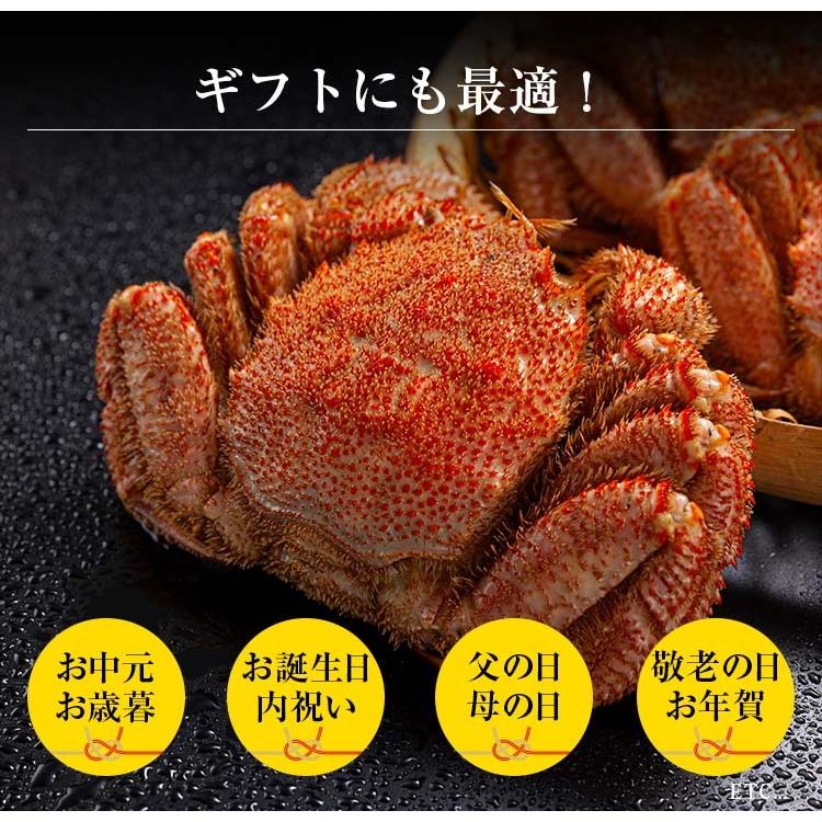 大型の毛蟹 630〜680g 1尾入り ボイル冷凍 北海道産 毛ガニ 毛がに