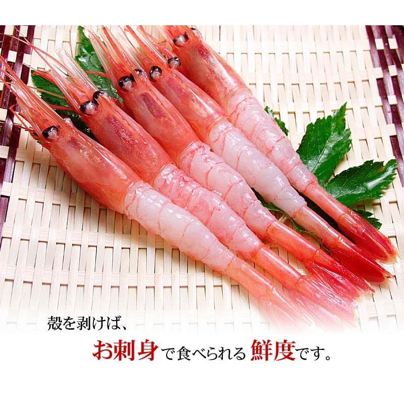 送料無料 海鮮欲張りセット かにしゃぶ ズワイガニ 毛ガニ エビ ホタテ