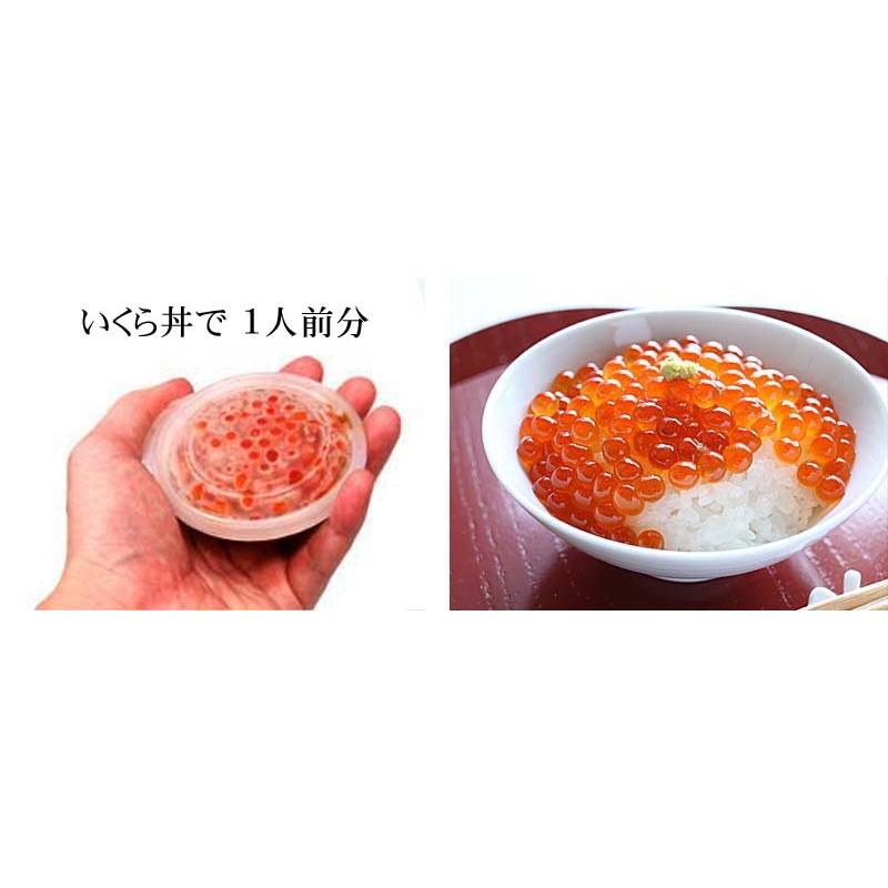 送料無料 海鮮欲張りセット かにしゃぶ ズワイガニ 毛ガニ エビ ホタテ