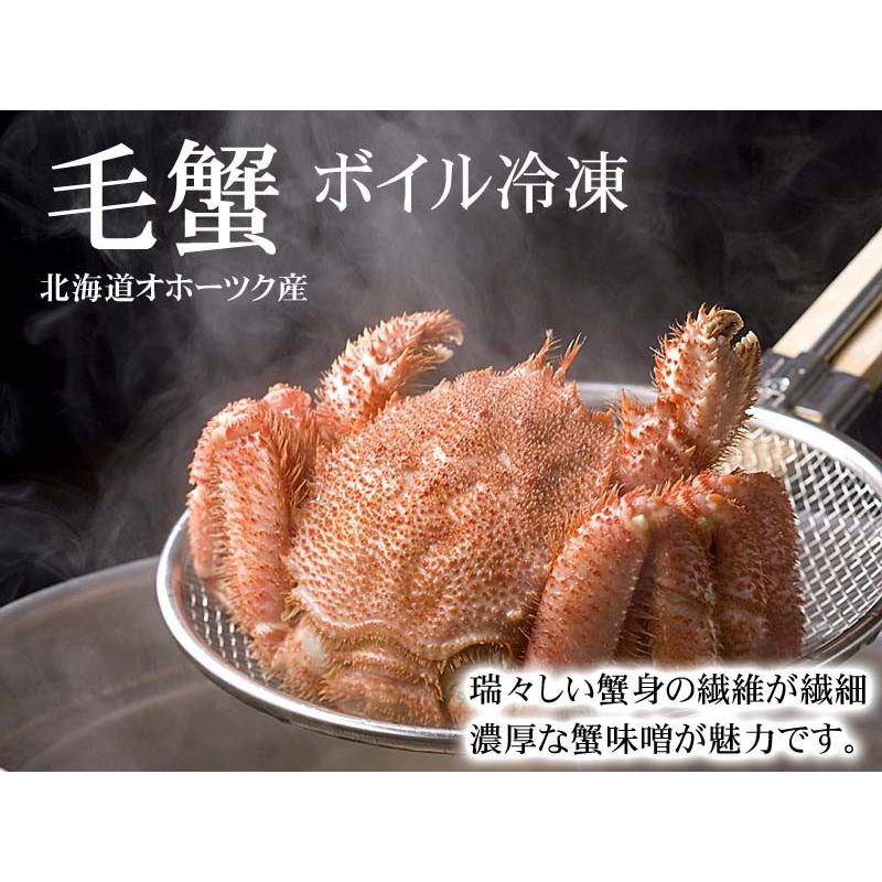 送料無料 海鮮欲張りセット かにしゃぶ ズワイガニ 毛ガニ エビ ホタテ