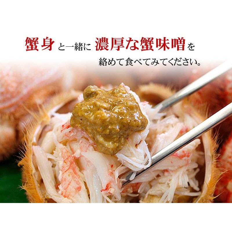 送料無料 海鮮欲張りセット かにしゃぶ ズワイガニ 毛ガニ エビ ホタテ