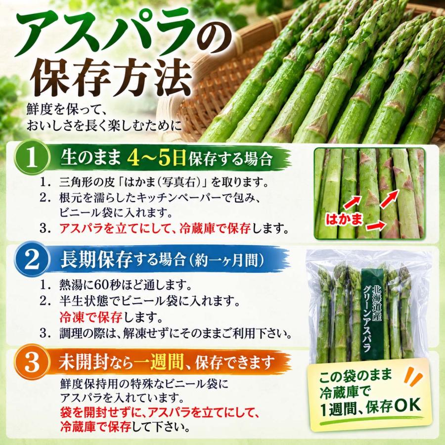 2027年度予約商品 送料無料 2Lサイズ 北海道 グリーン アスパラガス