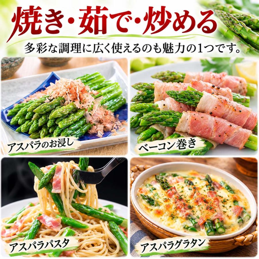 2027年度予約商品 送料無料 2Lサイズ 北海道 グリーン アスパラガス