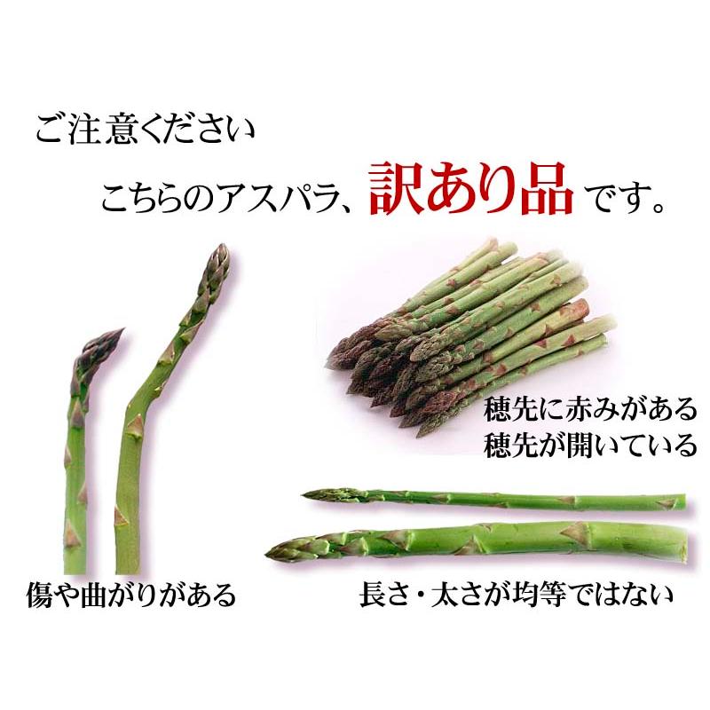 予約商品 送料無料 2種類 北海道 アスパラガス が楽しめるセット 合計