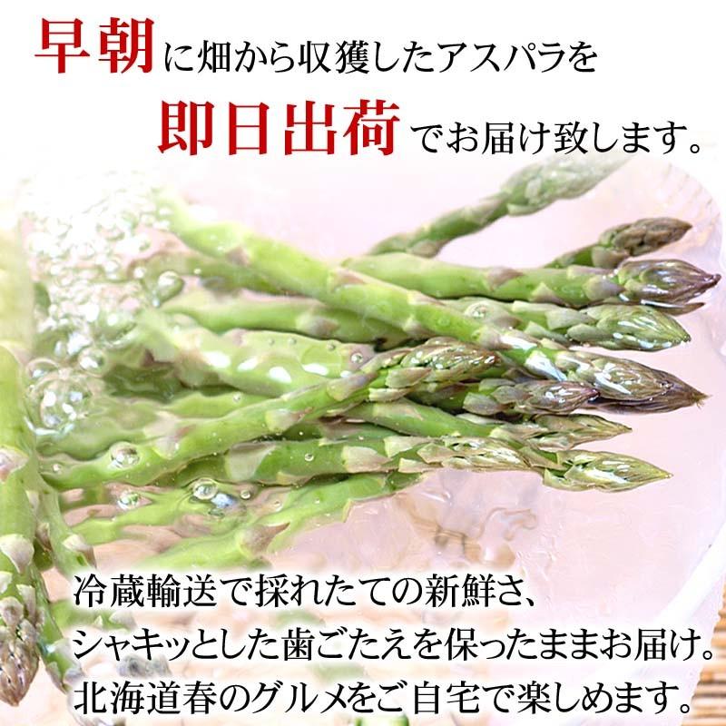 予約商品 送料無料 2種類 北海道 アスパラガス が楽しめるセット 合計