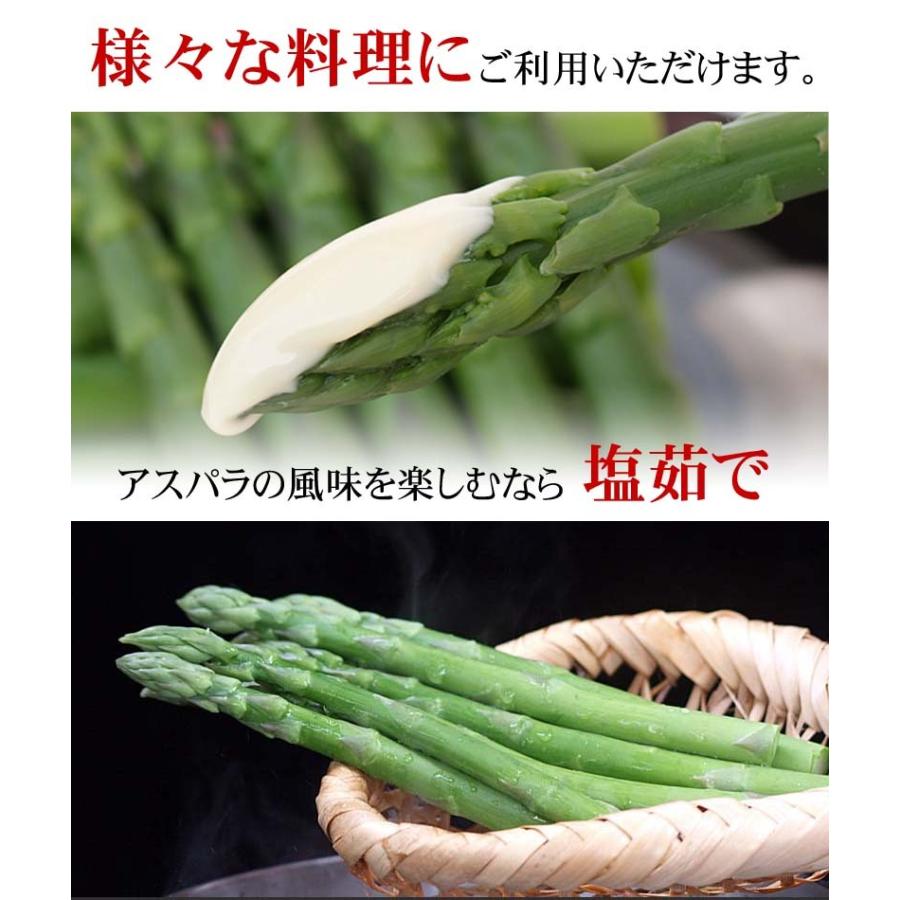 予約商品 送料無料 2種類 北海道 アスパラガス が楽しめるセット 合計