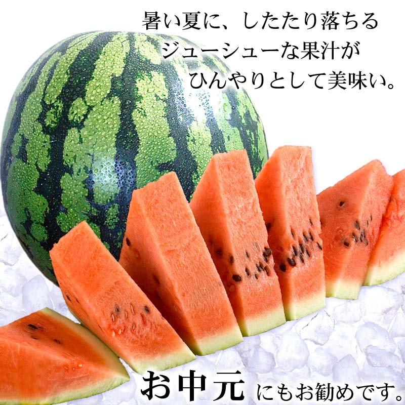 送料無料 マドンナスイカ 秀品 大玉 3L〜4Lサイズ 8〜9kg 北海道産