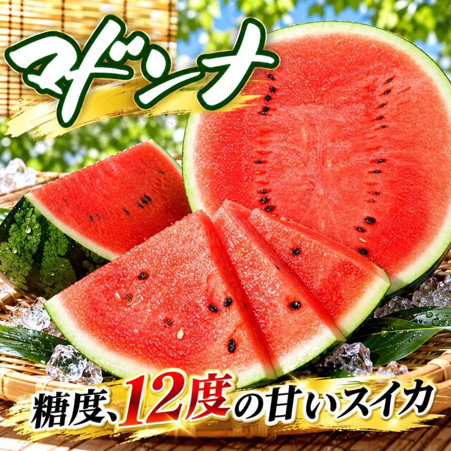 2027年度予約商品 送料無料 マドンナスイカ 秀品 大玉 3L〜4Lサイズ 8
