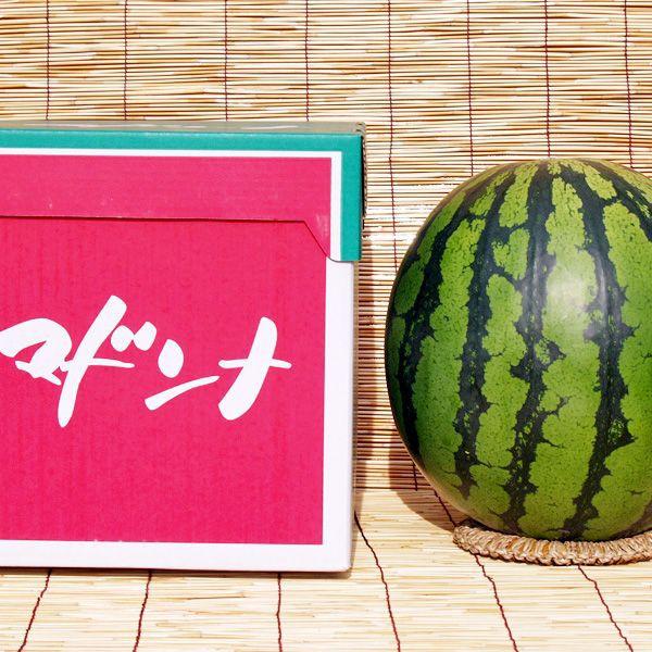 送料無料 マドンナスイカ 秀品 大玉 3L〜4Lサイズ 8〜9kg 北海道産
