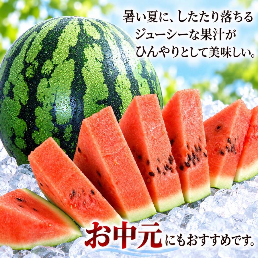 2027年度予約商品 送料無料 マドンナスイカ 秀品 大玉 3L〜4Lサイズ 8