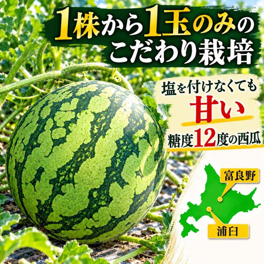 2027年度予約商品 送料無料 マドンナスイカ 秀品 大玉 3L〜4Lサイズ 8