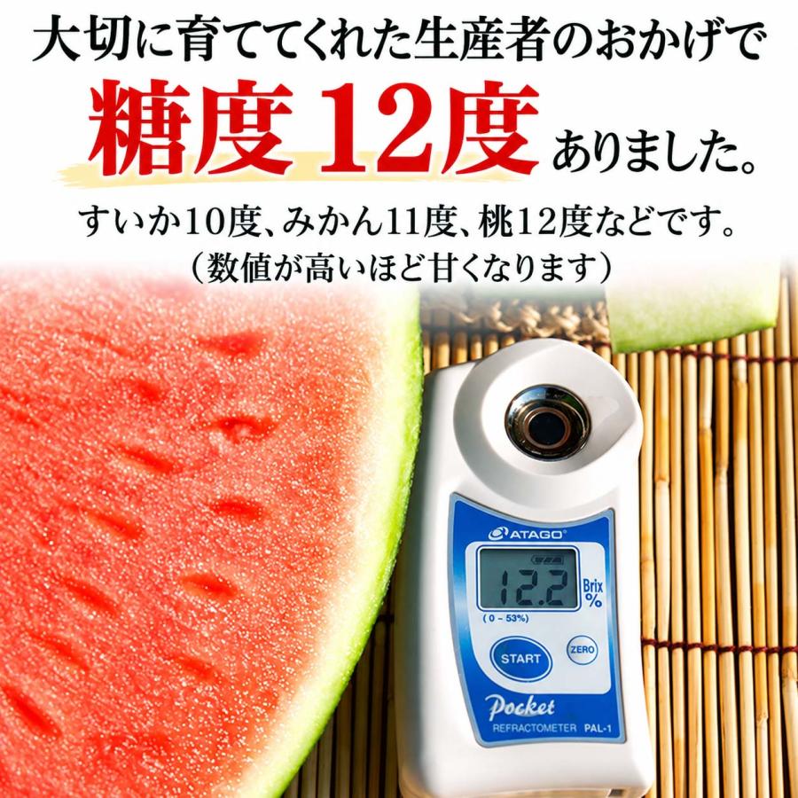 2027年度予約商品 送料無料 マドンナスイカ 秀品 大玉 3L〜4Lサイズ 8