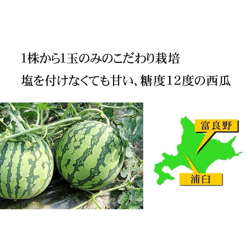 送料無料 マドンナスイカ 秀品 大玉 3L〜4Lサイズ 8〜9kg 北海道産