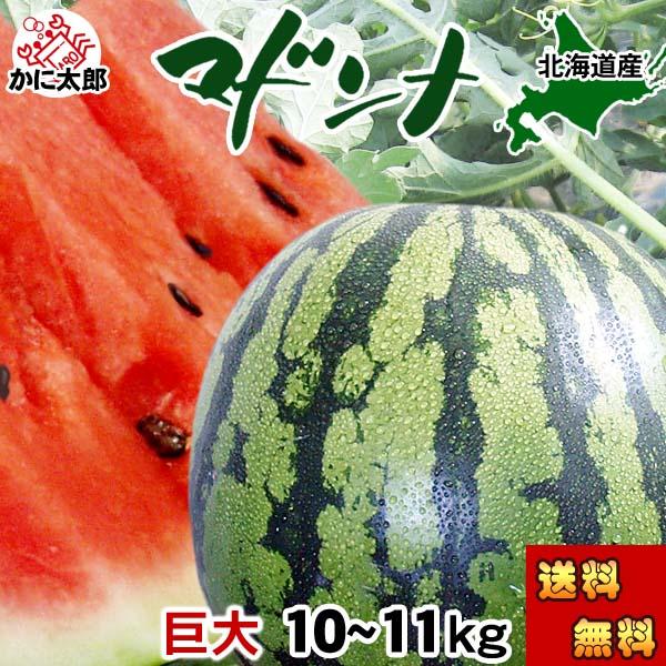予約商品 送料無料 巨大 マドンナスイカ 秀品 5L〜6Lサイズ 10〜11kg