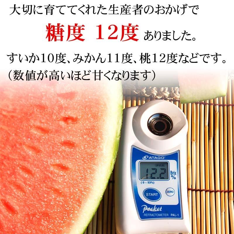 予約商品 送料無料 巨大 マドンナスイカ 秀品 5L~6Lサイズ 10〜11kg