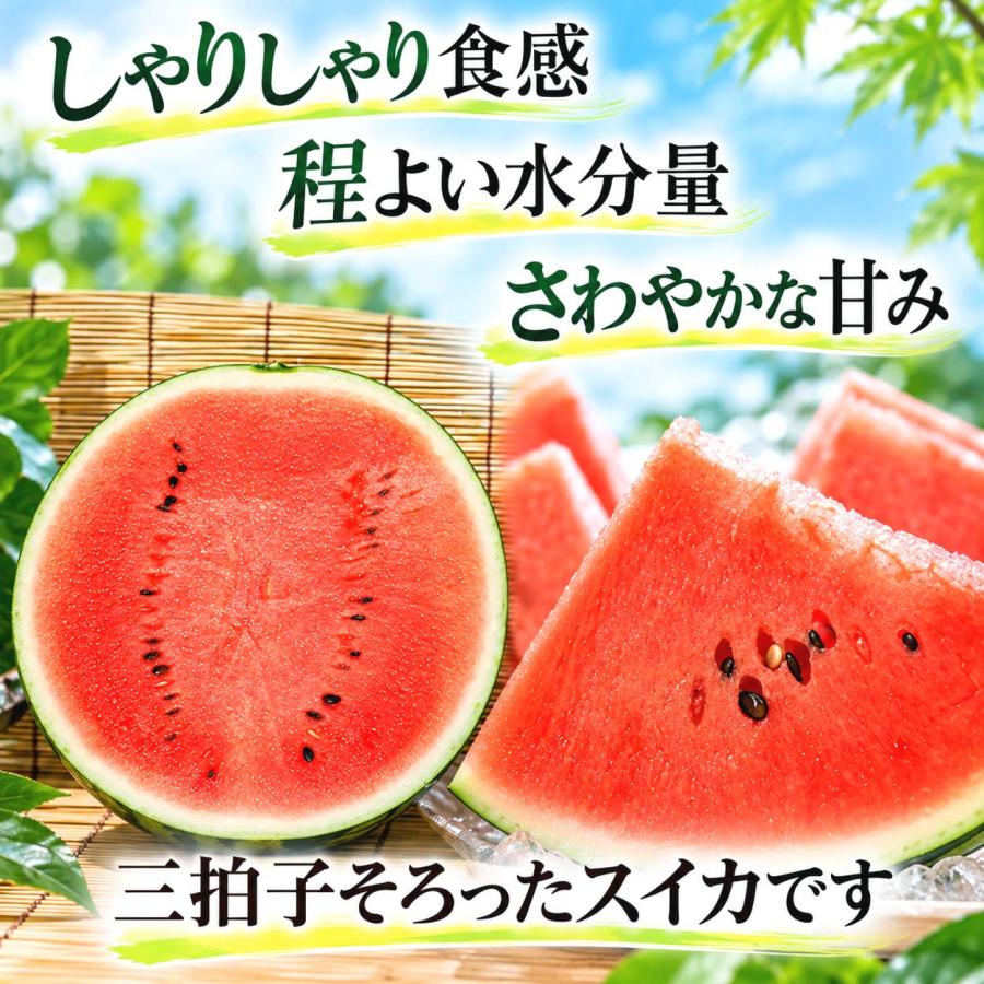 送料無料 巨大 マドンナスイカ 秀品 5L〜6Lサイズ 10〜11kg 北海道産