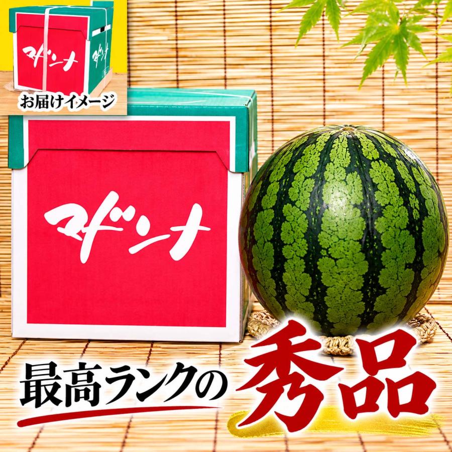 送料無料 巨大 マドンナスイカ 秀品 5L〜6Lサイズ 10〜11kg 北海道産