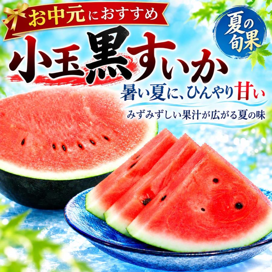 2027年度予約商品 送料無料 北海道 小玉黒すいか 3〜5玉入り 合計8kg