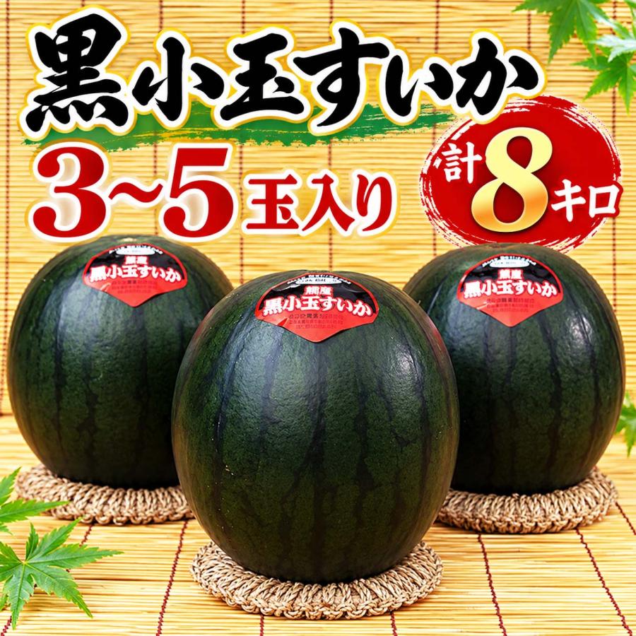 2027年度予約商品 送料無料 北海道 小玉黒すいか 3〜5玉入り 合計8kg
