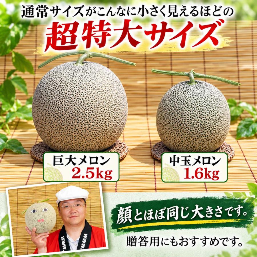 送料無料 超特大 赤肉メロン 富良野メロン 3個で合計8kg ふらの近郊産