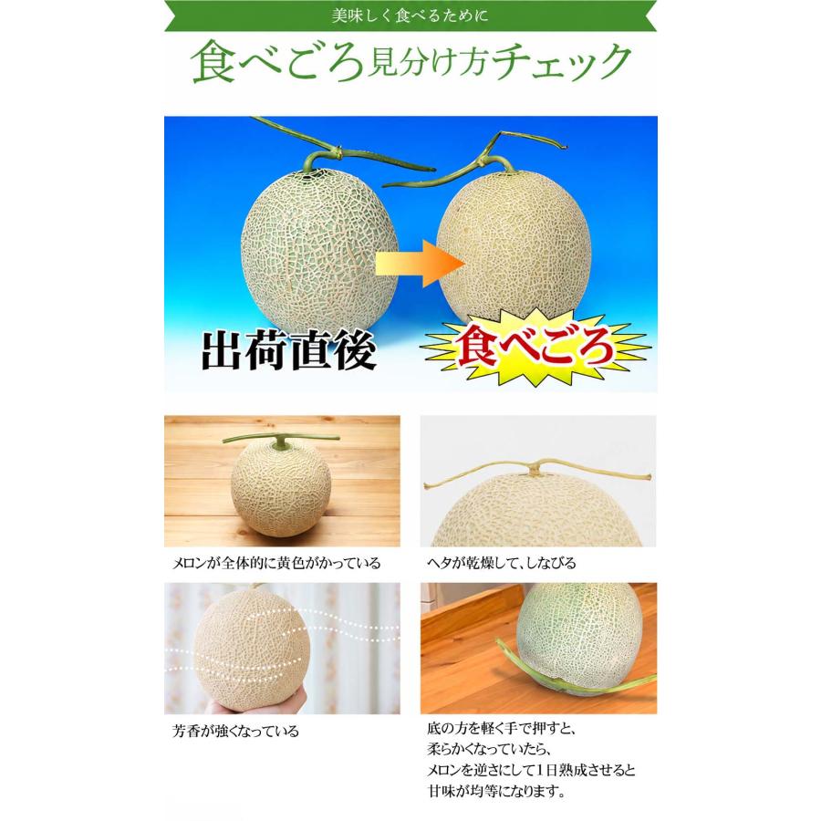 送料無料 超特大 赤肉メロン 富良野メロン 3個で合計8kg ふらの近郊産