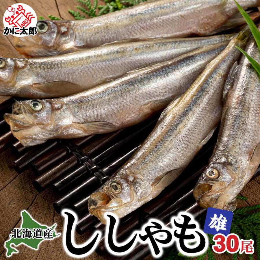 北海道産 本ししゃも オス 30尾入り(雄 中サイズ)天日で干した 北海道産 本ししゃも オス 30尾入り(雄 中サイズ)天日で干した