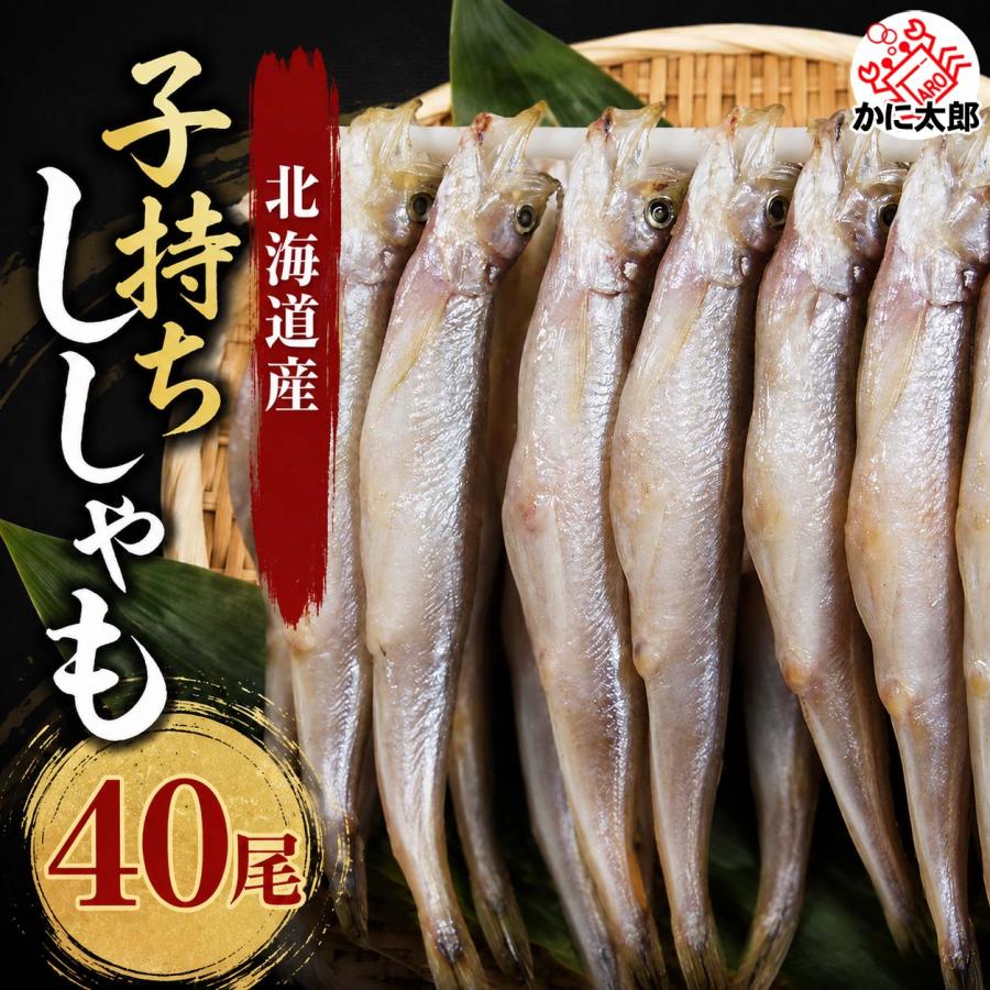 北海道産 子持ち 本シシャモ メス 40尾入り (雌 小サイズ) 北海道 鵡川