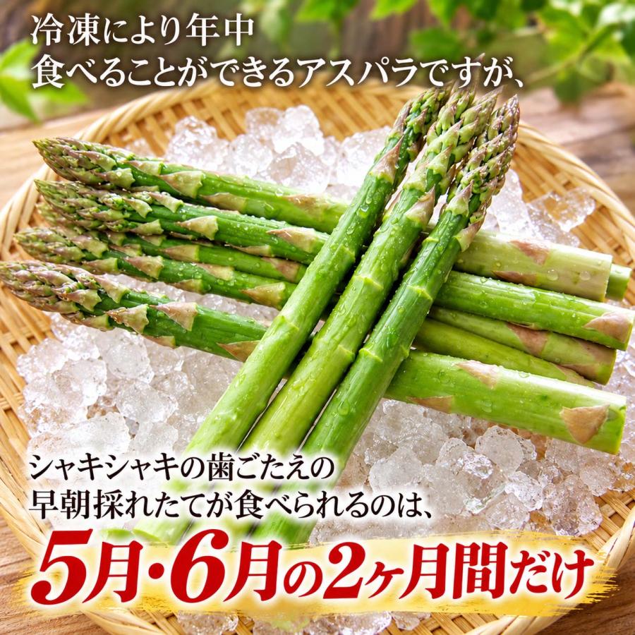 2027年度予約商品 送料無料 訳あり 北海道 グリーン アスパラガス 1kg