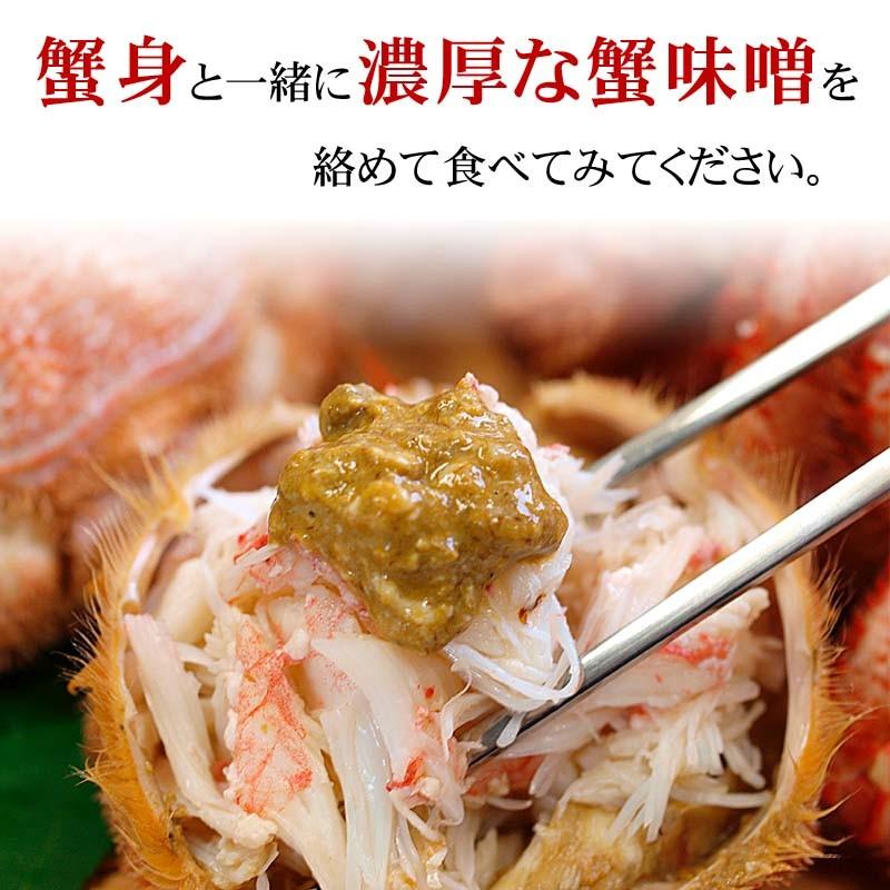 送料無料 海鮮グルメ盛りセット 毛ガニ エビ ホタテ ホッケ イカ塩辛 福袋 毛蟹 毛がに カニ かに 蟹 えび 蝦 ほたて 帆立 ほっけ 北海道 通販 ギフト 爆買 | ブランド登録なし | 04