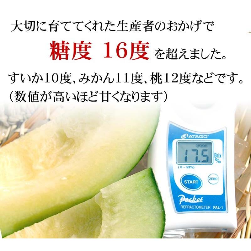 予約商品 送料無料 訳あり メロン 北海道産 青肉メロン 合計8kg 業務用
