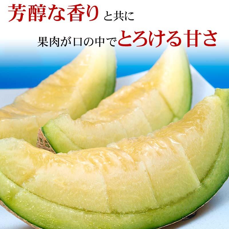 予約商品 送料無料 訳あり メロン 北海道産 青肉メロン 合計8kg 業務用