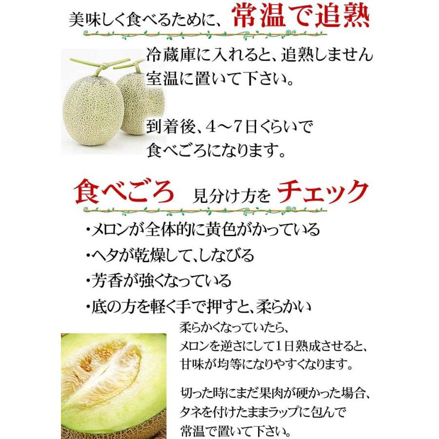 送料無料)訳ありメロン 青肉メロン 合計8kg 業務用の北海道産のわけありメロン。旬のフルーツグルメ(くだもの お中元ギフト) :10402:かに太郎 - 通販 - Yahoo!ショッピング 送料無料)訳ありメロン 青肉メロン 合計8kg 業務用の北海道産のわけありメロン。旬のフルーツグルメ(くだもの お中元ギフト) :10402:かに太郎 - 通販 - Yahoo!ショッピング