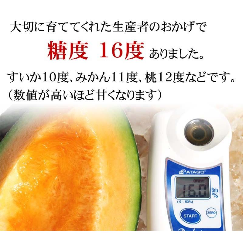 送料無料 訳あり メロン 北海道産 赤肉メロン 合計8kg 業務用 わけあり