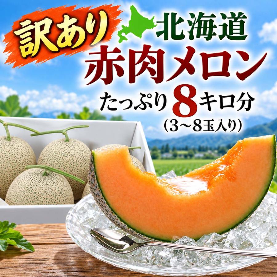 送料無料 訳あり メロン 北海道産 赤肉メロン 合計8kg 業務用 わけあり