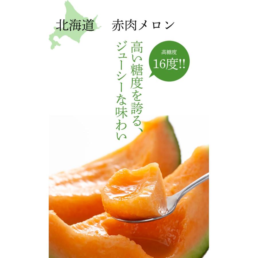 送料無料 訳あり メロン 北海道産 赤肉メロン 合計8kg 業務用 わけあり