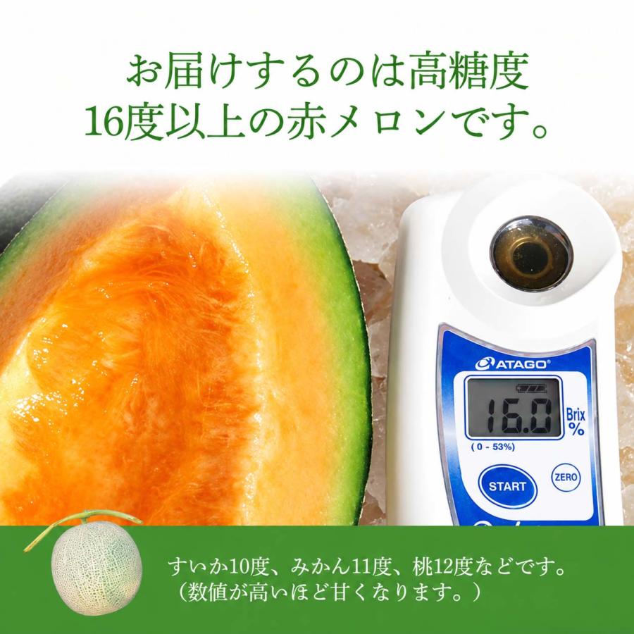 送料無料 訳あり メロン 北海道産 赤肉メロン 合計8kg 業務用 わけあり
