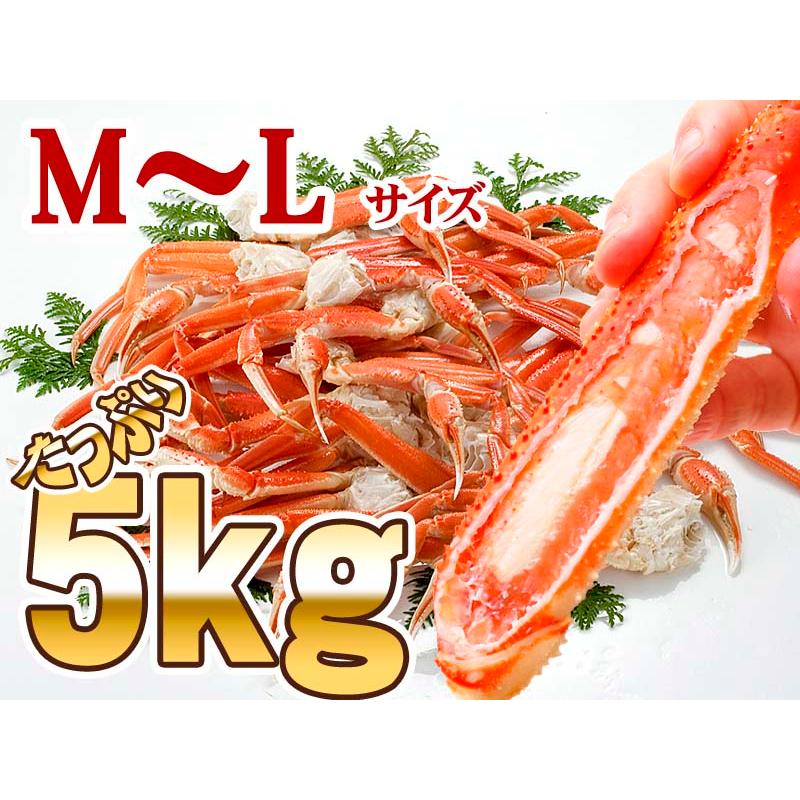 送料無料) ズワイカニ 足 肩 5kg ボイル 冷凍 訳あり 送料無料) ズワイカニ 足 肩 5kg ボイル 冷凍 訳あり