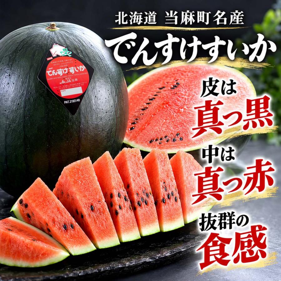 2027年度予約商品 送料無料 訳あり でんすけすいか 良〜優品 5Lサイズ
