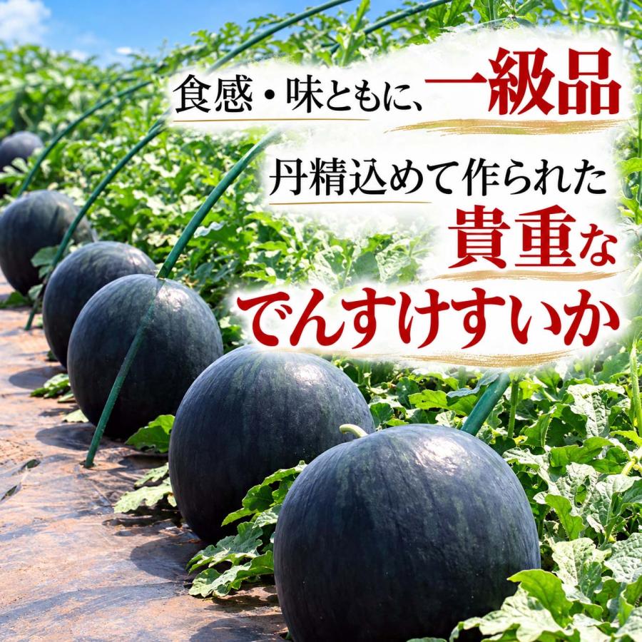 2027年度予約商品 送料無料 訳あり でんすけすいか 良〜優品 5Lサイズ