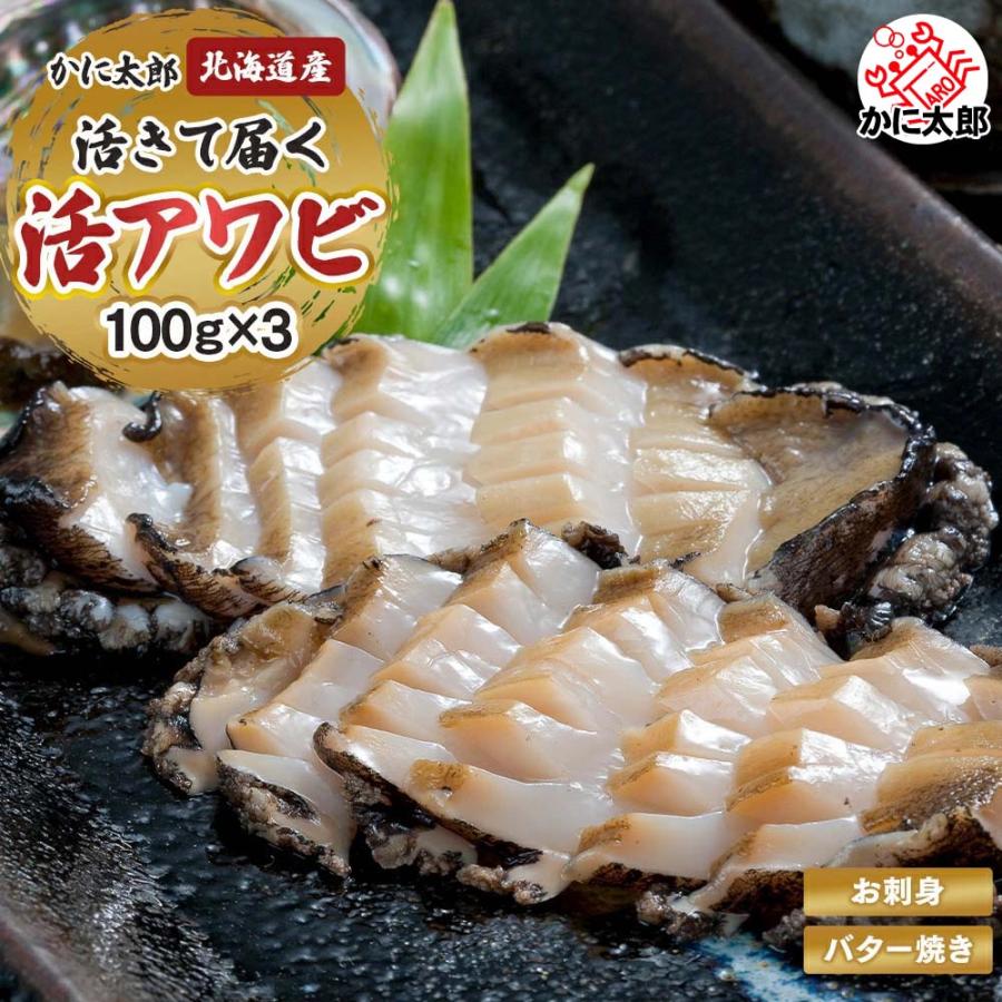 活蝦夷アワビ 3個 計300g 北海道産 鮑粥 活黒あわびだからこそ 活蝦夷アワビ 3個 計300g 北海道産 鮑粥 活黒あわびだからこそ