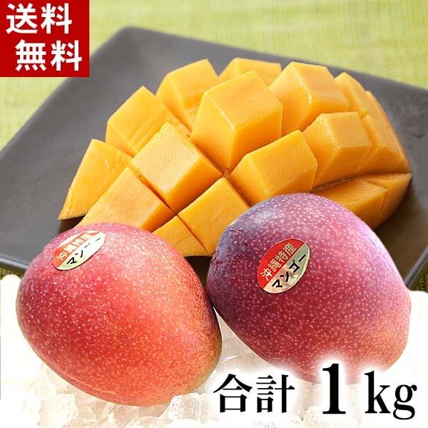 送料無料 安心の定価販売 沖縄産 アップル マンゴー 本日の目玉 南国沖縄のとれたてマンゴー 2〜4玉入り 合計1kg