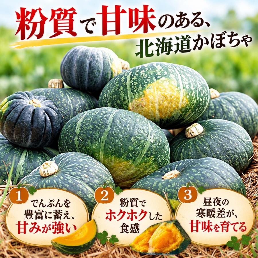 予約商品 送料無料 北海道産 かぼちゃ 栗将軍 10kg前後 (5〜7玉入り