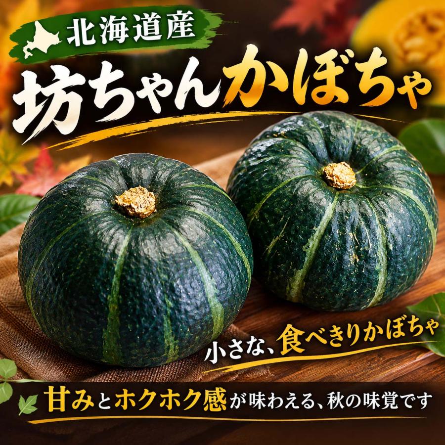 北海道産味早太南瓜 20kg 小玉サイズ 北海道産 なよろ南瓜 （味早