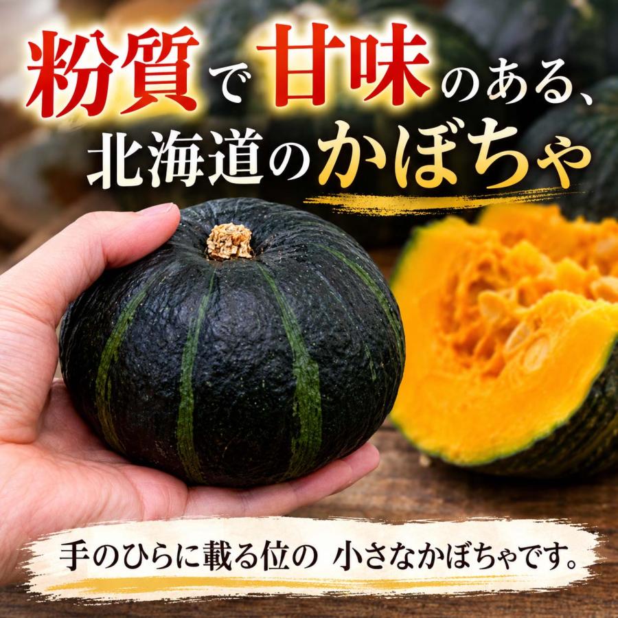 北海道産味早太南瓜 20kg 小玉サイズ 北海道産 なよろ南瓜 （味早太
