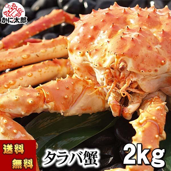 (送料無料) タラバガニ　たらばがに 姿　2.0kg 中型　ボイル冷凍(北海道産)　たらば蟹贈答用のカニ姿。かに通販、カニお取り寄せ ギフト