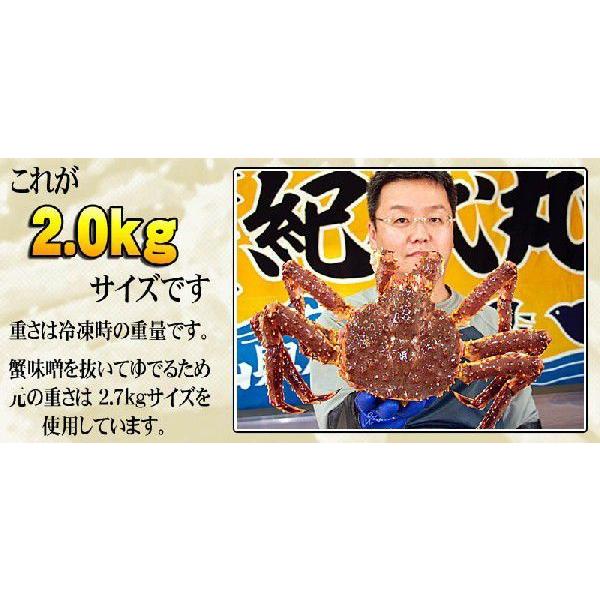 (送料無料) タラバガニ　たらばがに 姿　2.0kg 中型　ボイル冷凍(北海道産)　たらば蟹贈答用のカニ姿。かに通販、カニお取り寄せ ギフト 送料無料