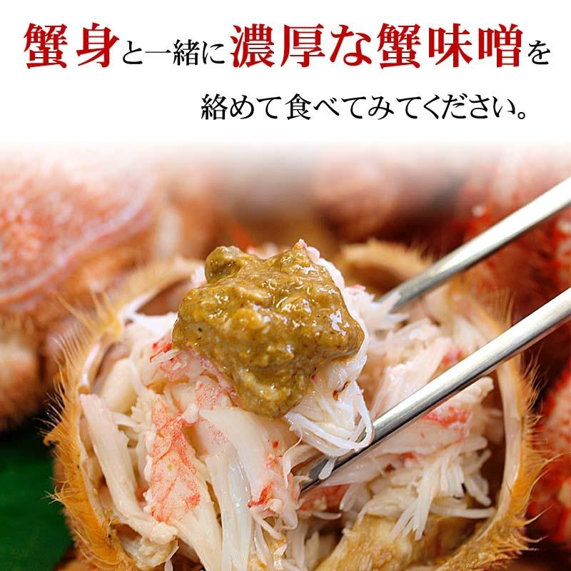 送料無料 北国の恵みセット 毛ガニ エビ ホッケ タコ 福袋 海鮮セット