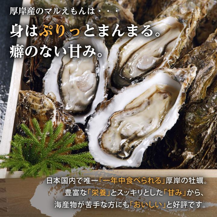 牡蠣 かき 北海道 厚岸 殻付き 2Lサイズ 約10個 生牡蠣 冷蔵 まるえもん ギフト 年末指定不可｜kanizen｜02